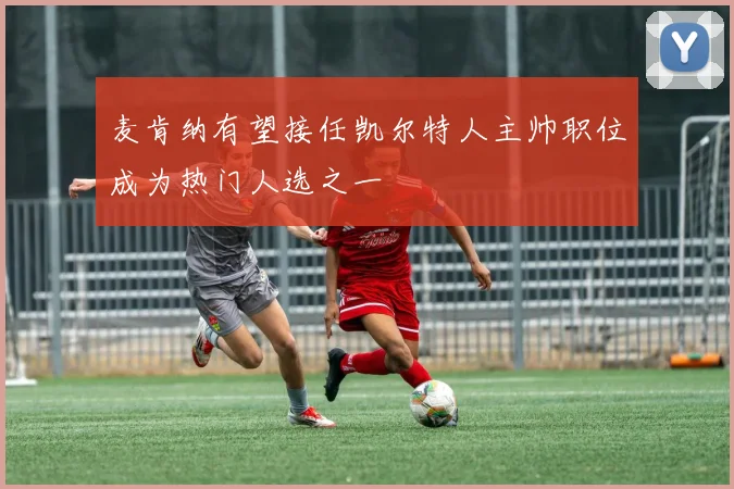 麦肯纳有望接任凯尔特人主帅职位成为热门人选之一